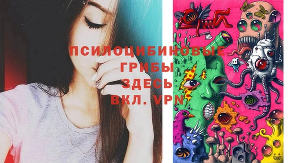 СК Наволоки