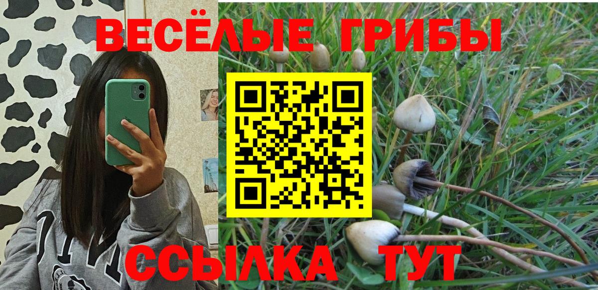 Псилоцибиновые грибы GOLDEN TEACHER  Вход с VPN  Тосно 