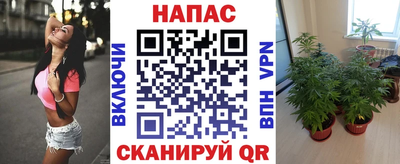 что такое наркотик  Тосно  Канабис White Widow 
